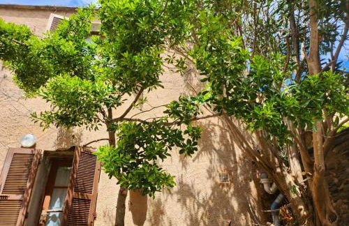 Maison confortable à Rogliano avec terrasse et jardin - Foto 11