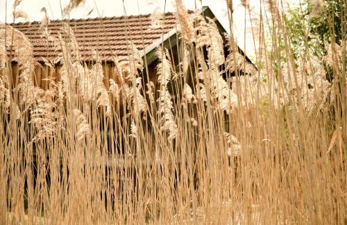 Zuhäusl am Chiemsee Appartements - Foto 46