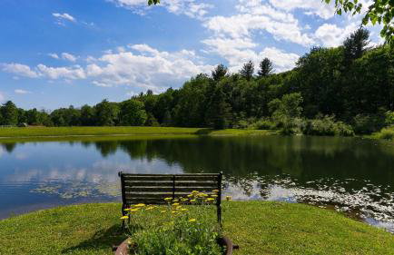 Secluded Estate Optional Guest House, Pond, Playroom, Gym & Theater Sunny Pond by Avantstay - Foto 125