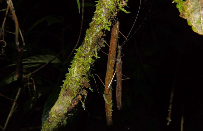 Randonnée de nuit dans le domaine de Rio Agujitas - Photo 4