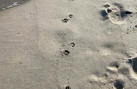 Apartament Biały - Foto 25