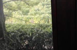 Casa Ramonda - Foto 26