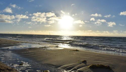 Ferienhaus Schäferhund - Photo 5