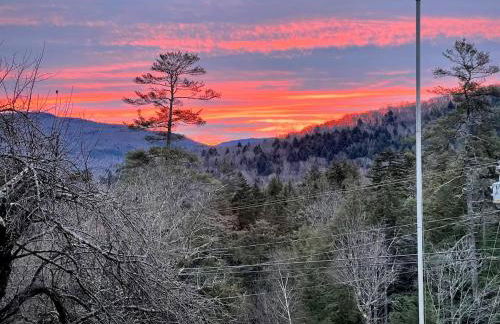 Peaceful Mtn Studio Pet-friendly - Foto 9