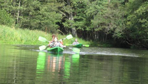 Ośrodek Wypoczynkowy Jaszczurka - Foto 3