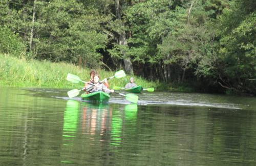 Ośrodek Wypoczynkowy Jaszczurka - Foto 3