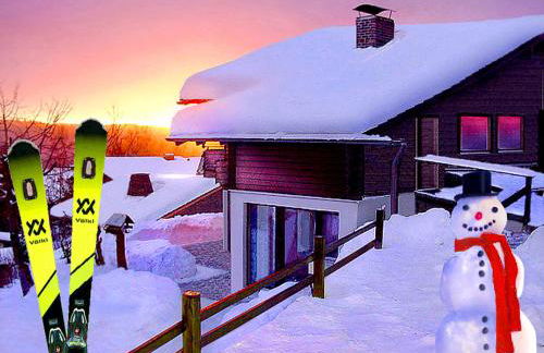 BayerischerWald-Ferien-Blockhaus-Panoramablick-Grafenau Haus im Wald-Vogelthenne 19, fast Alleinlage-ILZtal-Blick nähe Rothauer, Saldenburger, Ebenreuther und Eginger See im Dreiburgenland, unweit der Dreiflüße-Stadt PASSAU an der Donau Inn und ILZ - Foto 59
