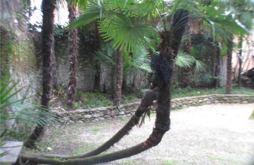 Casa Martelli - Foto 69