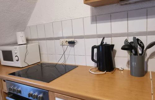 Monteurwohnung Erdgeschoss Birkenfeld - Karlsruhe 25min - Foto 3