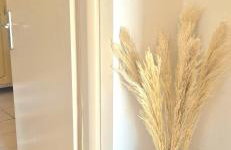 Sfakia On the Beach - Foto 21