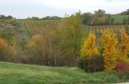 Les Hauts d'Albas - Foto 24