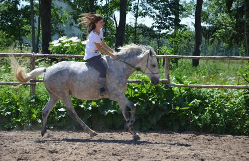 Dworek Mazurski Lizer - Foto 15