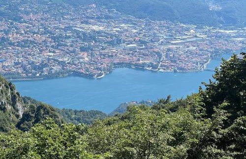 La coccinella - Foto 23