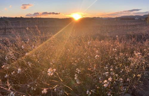 Cal Muntanyès - Foto 25