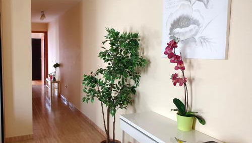 Tazacorte city's - Foto 4