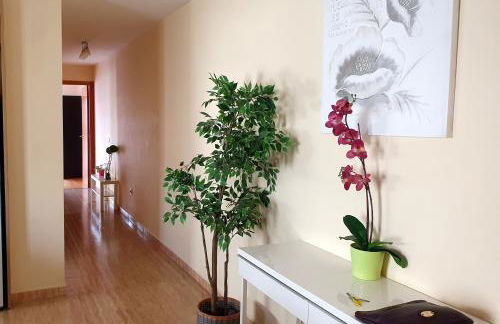 Tazacorte city's - Foto 4