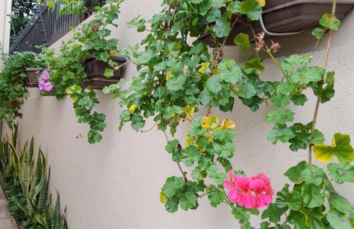 Casa Vista do Vale próxima ao Vale dos Vinhedos - Foto 43