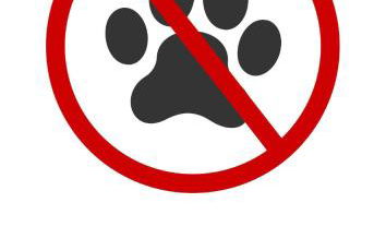 Ferienhaus Wilhelmine Usedom Ferienwohnungen mit Garten & Grill - Foto 27