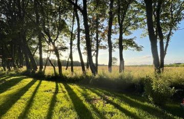 Ferienwohnung Sort Sol Grellsbülldeich 7 - Foto 38