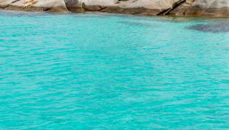 trilocale con piscina - Foto 3