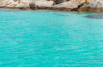 trilocale con piscina - Foto 3