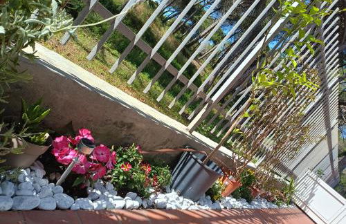 Bibbona Summer - Pineta 1 - - Foto 17