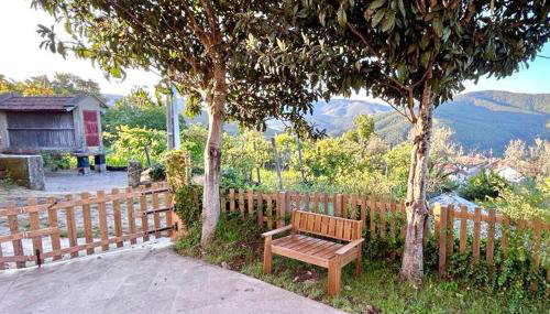 Casa Amarela - Mondim de Basto - Photo 3, Garden