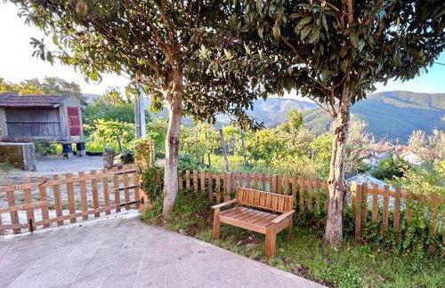 Casa Amarela - Mondim de Basto - Photo 3
