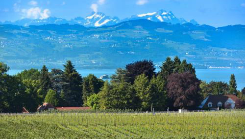 Dinkelbach Traumblick 3 A - Foto 4