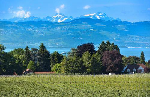 Dinkelbach Traumblick 3 A - Foto 4