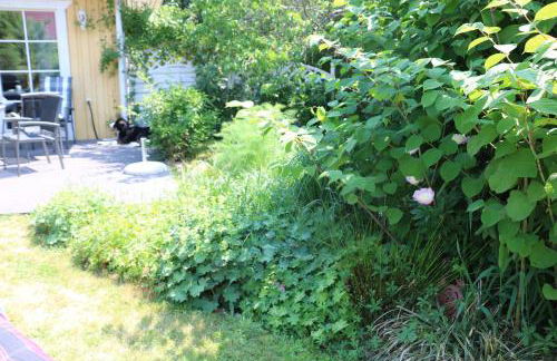 Ferienwohnungen Polchow - direkt am Wasser - Foto 11