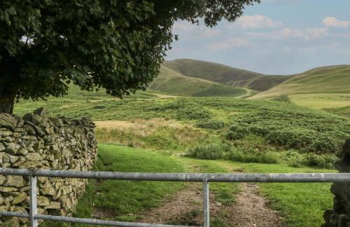 Castle Terrace - Foto 25