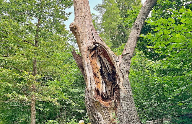 4 Person Holiday Home in Akersberga-by Traum - Photo 9