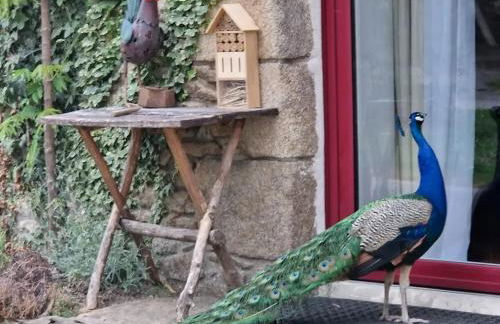 Spacieuse villa avec piscine privée à Béganne - Foto 26