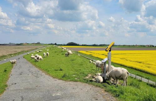 Greetjehaus in Westerbur - Foto 36