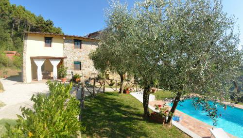 Batticapo di Ilaria - Foto 3, Garden