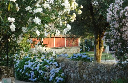 Quinta de Luou - Foto 26