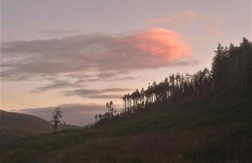 Mourne Mountain Art Apartments - Foto 92