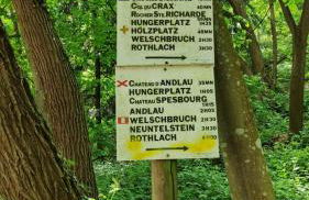 Villa sous le Tilleul - Photo 50