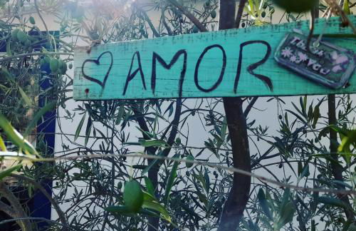 Monte das Rolas - A Serenidade mora Aqui! - Foto 23