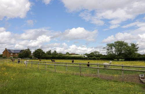 Lavender Cottage - Foto 24