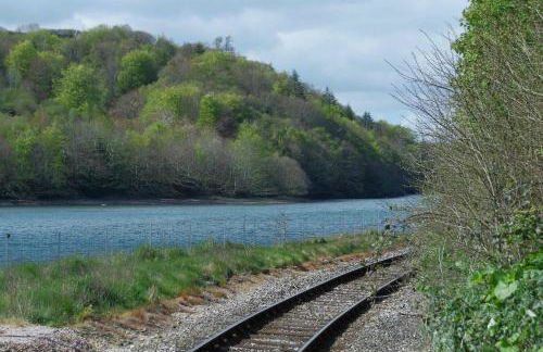 Sand Martin - Foto 19