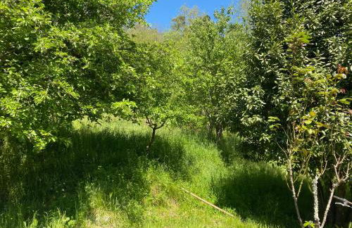 Woods House - Foto 22