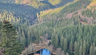 Ferienwohnung in Freudenstadt-Kniebis III - Foto 3