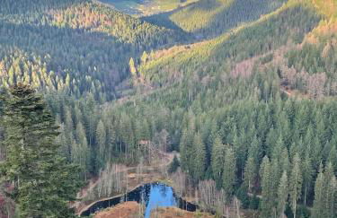 Ferienwohnung in Freudenstadt-Kniebis II - Foto 29