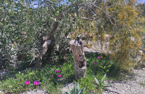 Mountain View Bungalows Dimilia - Foto 42