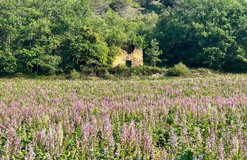 Gite Harmonie - Foto 49