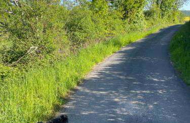 Zimmer Emmer, ein Zimmer in FeWo mit zwei Zimmern - Foto 26