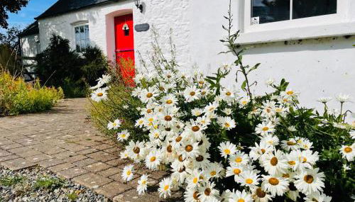 The Dairy @ Trefechan Wen - Photo 2