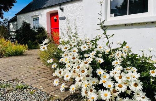 The Dairy @ Trefechan Wen - Photo 2